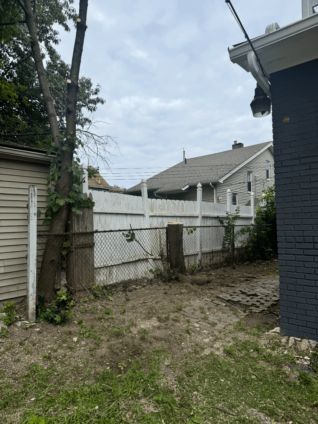 Large residential yard after tree trimming with visible fence and open space