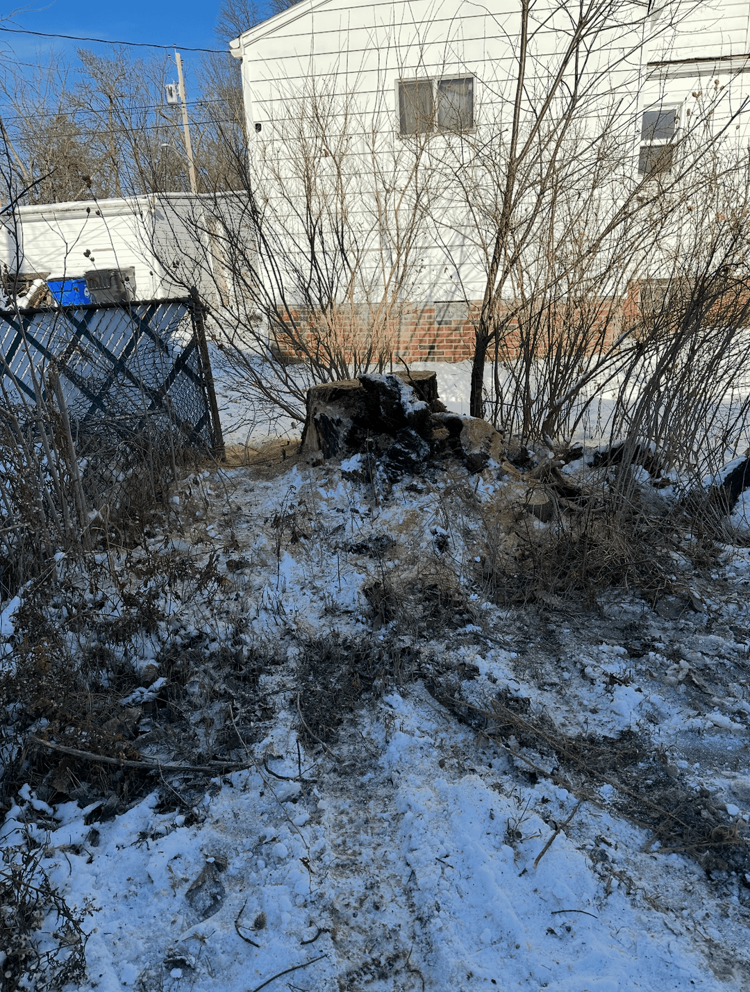Ground covered in wood chips and soil after stump grinding and removal cleanup